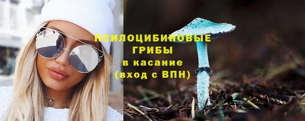 мет Аркадак