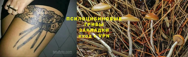 мет Арсеньев